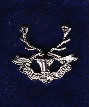 SEAFORTH HIGHLANDERS lapel badge CAP BADGE enamel