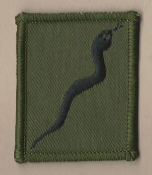 SINGLE SNAKE embroidered black on olive green