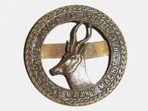 SOUTH AFRICA GENERAL SERVICE O.S.D. small pat. c/b