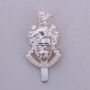 SOUTHAMPTON UNIVERSITY O. T. C. a/a cap badge