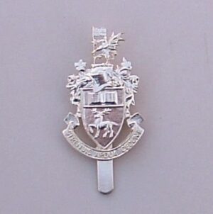 SOUTHAMPTON UNIVERSITY O. T. C. a/a cap badge