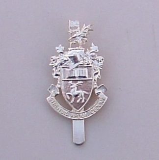 SOUTHAMPTON UNIVERSITY O. T. C. a/a cap badge