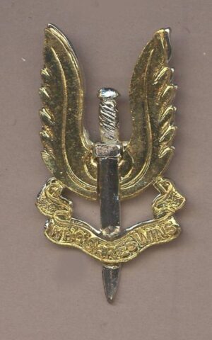 ECIAL AIR SERVICE a/a cap/beret badge