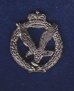 Army Air Corps LAPEL BADGE