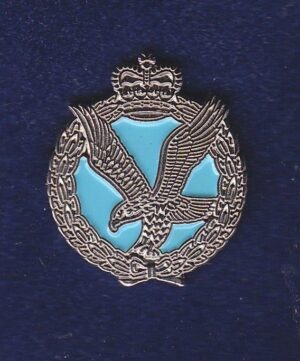 Army Air Corps LAPEL BADGE