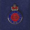 LIFE GUARDS - LAPEL BADGE