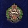 THE ROYAL HAMPSHIRE REGIMENT - LAPEL BADGE