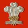 ROYAL REGIMENTOF WALES a/a cap badge