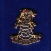 THE YORKSHIRE REGIMENT - LAPEL BADGE