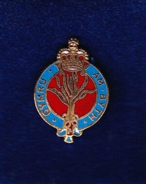 LSH GUARDS - LAPEL BADGE