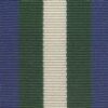 Distinguished Service Medal = full size
