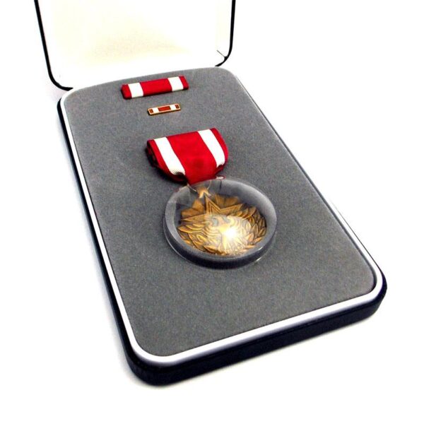 US Meritorious Service Medal complete in case, full size medal - Image 3
