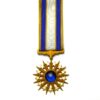 US Air Force Distinguished Service Medal