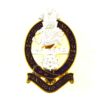 Princess of Wales's Royal Regiment (PWRR) Enamelled Cap Badge