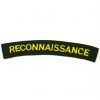 Reconnaissance Cloth Shoulder Title (Yellow on Green)