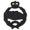 Royal Tank Regiment Cap Badge, Queen's Crown, Blacked Restrike