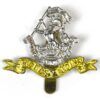 Duke of Wellington's Regiment (The West Riding) Cap Badge, Restrike