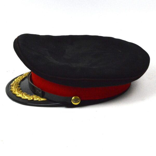 Royal Anglian Regiment Staff Officer's Brigadier Colonel's No.1 Dress Cap - Image 2