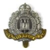 Suffolk Regiment (1902-1953 Pattern) Cap Badge, King's Crown, Original