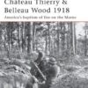 Château Thierry & Belleau Wood 1918 [CAM177]