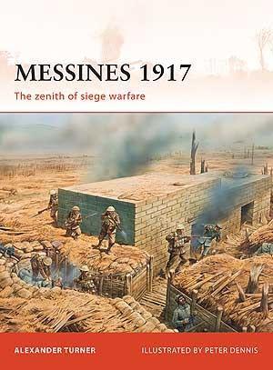 Messines 1917 [CAM225]