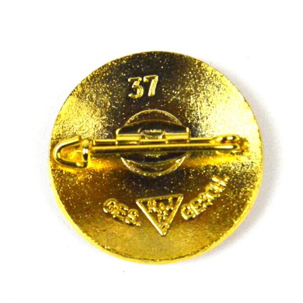 Reproduction German Third Reich NS Arbeitsdienst Braunschweig Badge - Image 2