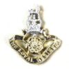 Loyal North Lancashire Regiment Anodised Collar Badge