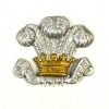 Royal Wiltshire Yeomanry Bimetal Collar Badge, Single