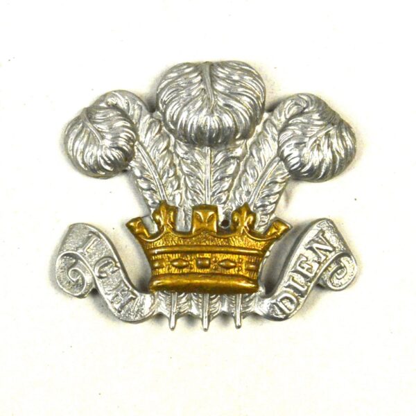 Royal Wiltshire Yeomanry Bimetal Collar Badge, Single