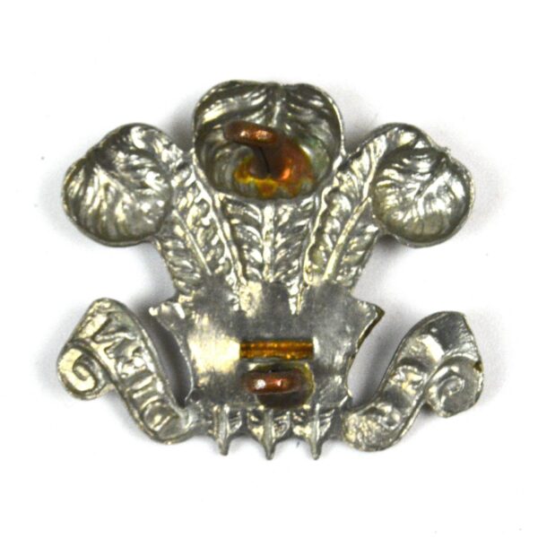 Royal Wiltshire Yeomanry Bimetal Collar Badge, Single - Image 2