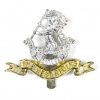 Duke of Wellington's Regiment (The West Riding) Anodised Cap Badge