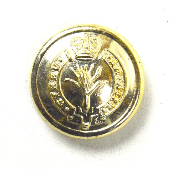 Welsh Guards Tunic Button (19.5mm), Queen's Crown, Anodised