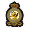 Royal Air Force Second Tactical Air Force Embroidered Blazer Badge, Queen's Crown