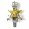 Mobile Defence Corps Anodised Cap Badge