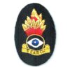 Explosive Ordnance Disposal and Search (EODS) Embroidered Bullion Badge