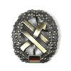 German Bundeswehr PSV Truppe (Operational Communications Force) Cap Badge
