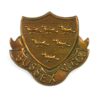 Restrike Sussex VTC Cap Badge