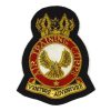 Air Training Corps Embroidered Blazer Badge