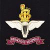 Parachute Regiment Bullion Embroidered Blazer Badge, King's Crown