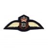 Royal Canadian Air Force Embroidered Pilot's Wings, Queen's Crown