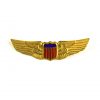 US Air Force Pilots Wings Lapel Badge