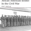 African American Soldier in the Civil War: USCT 1862–66 [WAR114]