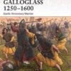 Galloglass 1250–1600: Gaelic Mercenary Warrior [WAR143]