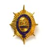 Worcestershire Regiment Enamel Pin Badge