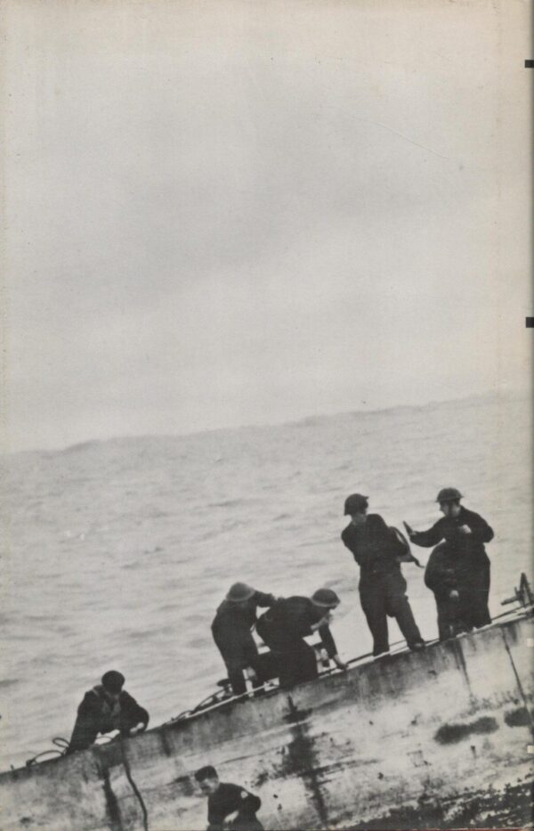 Cinderella Operation: The Battle for Walcheren 1944 - Image 2