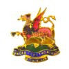 Birmingham Brithoniaid Union Lapel Badge