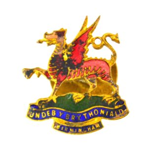 Birmingham Brithoniaid Union Lapel Badge