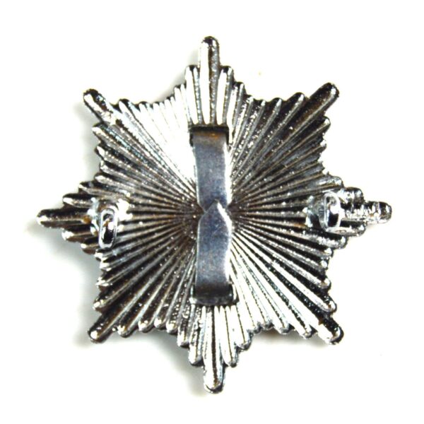 Berkshire & Reading Fire Brigade Restrike Cap Badge - Image 2