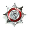Somerset Fire Brigade Restrike Cap Badge