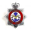 Defence Fire Service Cap Badge